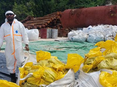 Environmental cleanup bags